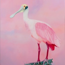 Thomas Frontini, Spoonbill 2, 2015, Oil on Canvas, 45” x 36”, $5,000
